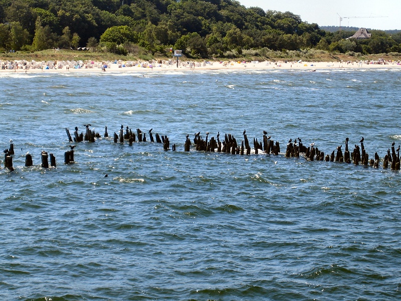 usedom (66)